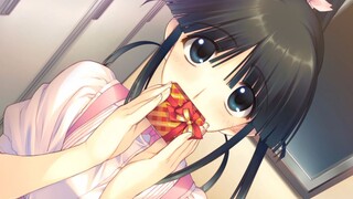 【白色相簿2/小春线】幸福噩梦【静止画MAD】