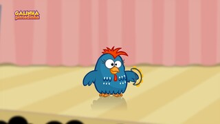 A Baratinha Galinha Pintadinha (REUPLOAD)