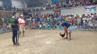 at pasay. talo tayo bawe nalang sa sususnod😅👍🏻🐓