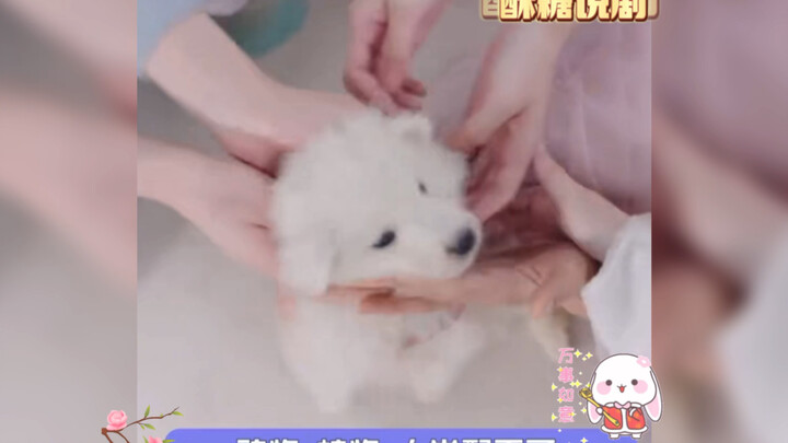 The heavenly realm where stars turn into candy is way too enlightened! What about species diversity!