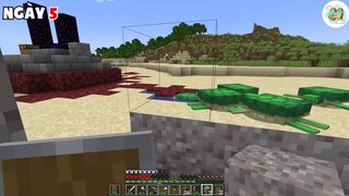 Đi bắt rùa thôi nào