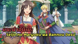 แนะนำเมะ Seijo no Maryoku wa Bannou Desu | สตรีศักดิ์สิทธิ์อิทธิฤทธิ์สารพัดอย่าง