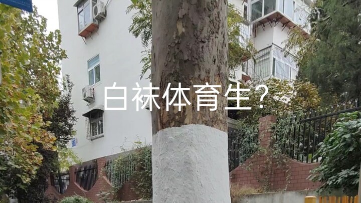 بعض الحالات النفسية للطلاب الجامعيين المعاصرين