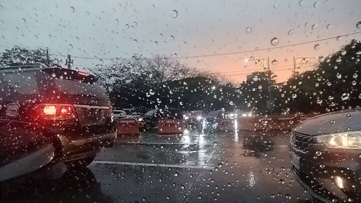 Baby LTO Plate Number