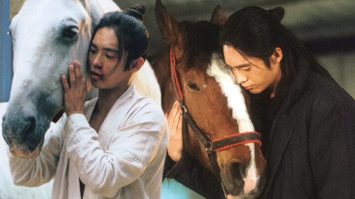 "Man and Horse" | "Yu Shi and Horse" in the lens of male and female directors