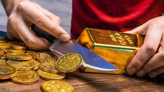 超硬核定格动画｜金子搬砖（点进来才懂的谐音梗