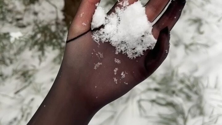 มือซิ่วไร้เทียมทาน