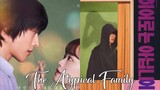 The Atypical family 1