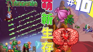 Terraria: Survival for Beginners 10