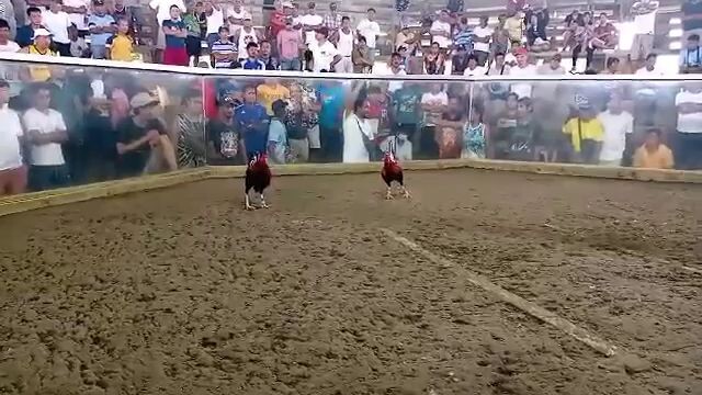 3x wenner na c boston liit