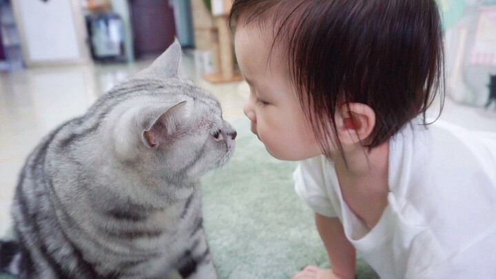 Penuh kasih sayang! Tiga kucing memanjakan bayi seperti anak sendiri