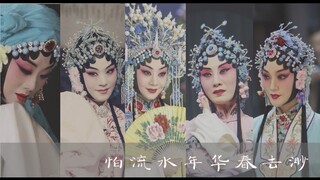 【青衣群像】美颜盛世的京剧旦角混剪-怕流水年华春去渺