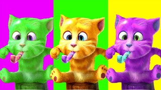 Cat Meow, Kitten, Tiếng Mèo Kêu, Mèo Con