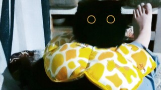 Secretly say "I love you" to your cat and see how he reacts?