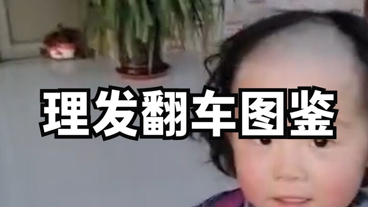 Haircut Failure Guide