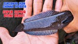 Mancing Ikan Channa Limbata Di Sungai Mengaji || TAK PERNAH INGKAR JANJI!!