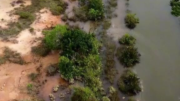 uống nước tiểu của khung log