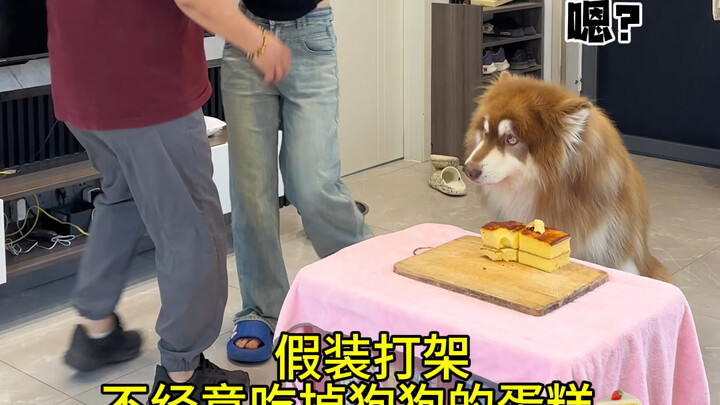 我真的是想拍搞笑视频的