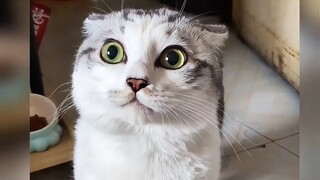 When you're weak, even getting angry makes others think you're cute.