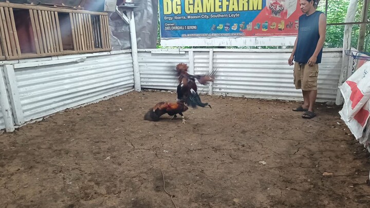 august 17, 2025 sparring session