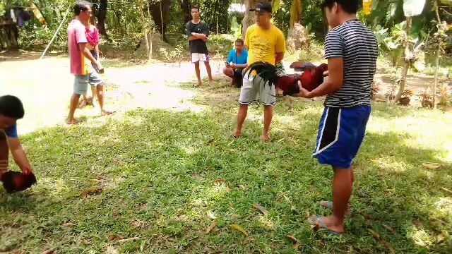 My 4x winner 2nd fight