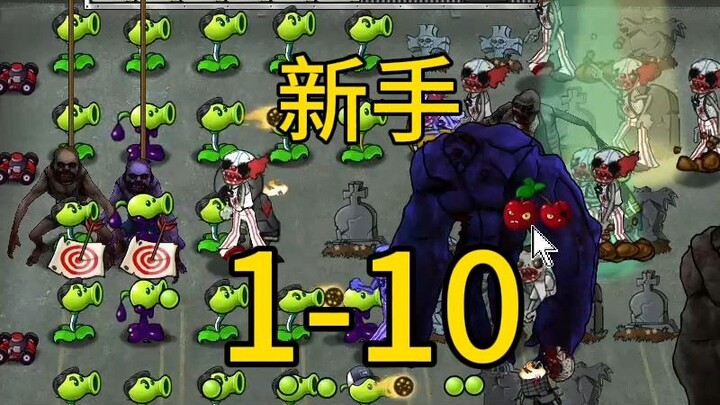 Beginner 1-10