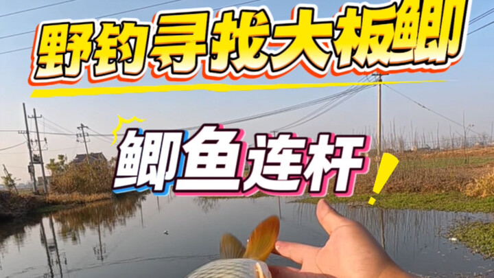 ตกปลาธรรมชาติเพื่อตามหาปลาตะเพียนตัวใหญ่