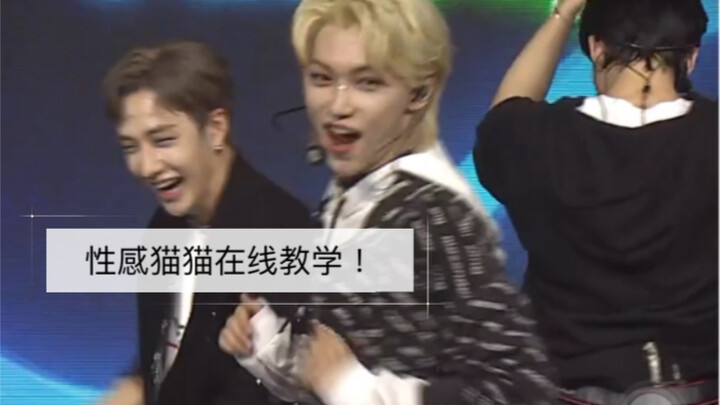 【Felix Li Longfu】Pengajaran kucing seksi secara online & mengulang TikTok jutaan views, sepertinya d