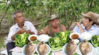 CÁ TAI TƯỢNG SIÊU TO CHÀ BÁ LỬA CHIÊN XÙ CUỐN BÁNH TRÁN ĐÃI ÔNG 5 BÁNH XÈO BÁ CHÁY CON CÀO CÀO