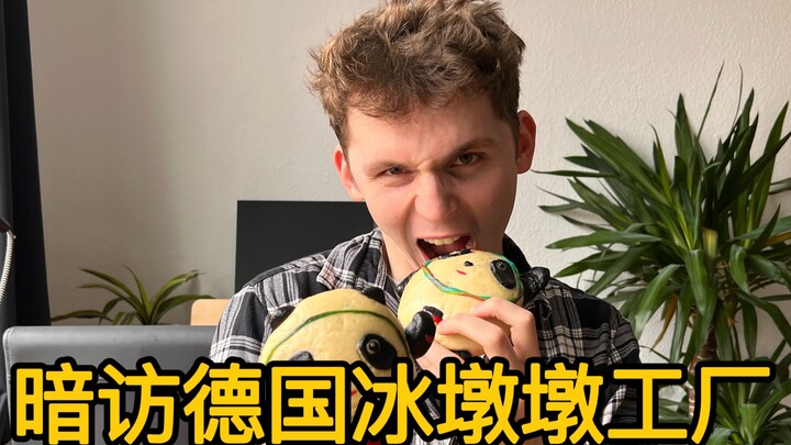 German Roommate: Is It Really That Hard to Get an Bing Dwen Dwen?