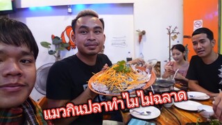 รวมดาวTik Tok กินข้าวร้านปลาจุ่ม??