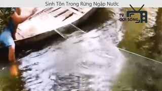 Sinh tồn trong rừng ngập nước p11