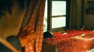 影视最绝望一幕：玫瑰浴缸却只躺着女儿的头颅与四肢