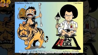 Tất tần tật về Monkey D Garp - Anh hùng hải quân Huyền thoại p4