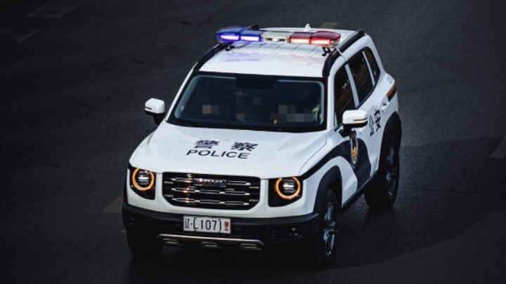 Today, the police added a new "human probe." Easter egg at the end: "A big dog with skin."