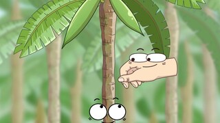 Tidak ada kelapa dalam gula kelapa