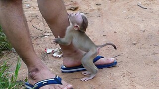 Adorable! Little boy Maki Refreshing Happy In the morning when neighbors to visit  and greeting him