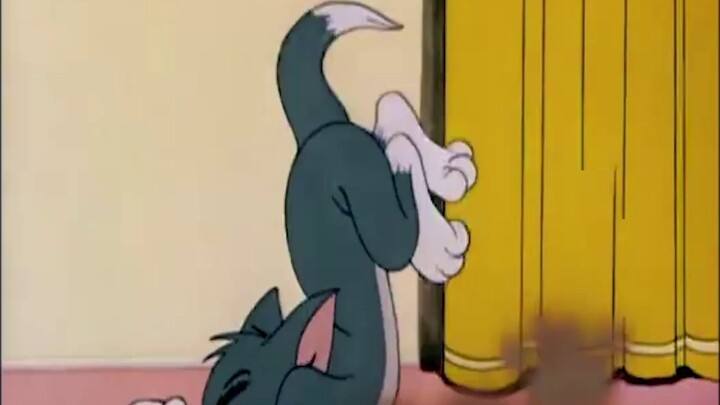 Cai Xukun และ Cat and Mouse ตอนที่ 1