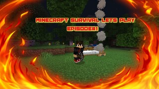 MINECRAFT LETS PLAY | SURVIVAL SERIES | EPISODE 1