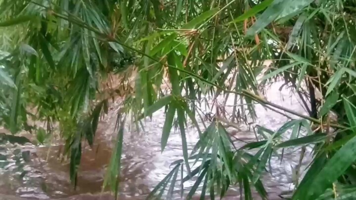 banjir banjir banjir 😮😮😮