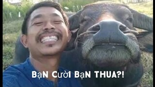 Bạn cười bạn xuống địa ngục(thử thách cấm cười) mức độ dễ