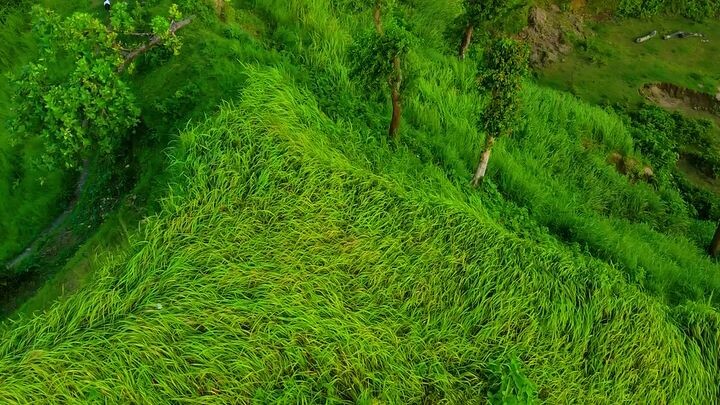 #bangladesh 🇧🇩