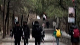 What is it like to meet your students while climbing Mount Tai?