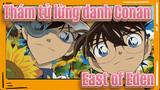 Thám tử lừng danh Conan|[Kuroba &Shinichi ]East of Eden