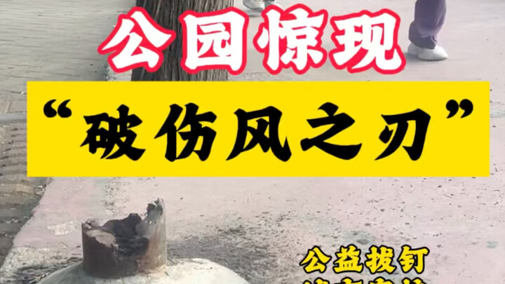 Taman di Zhengzhou menyimpan “Pedang Tetanus” tersembunyi! Potongan tiang tajam menembus langsung ar