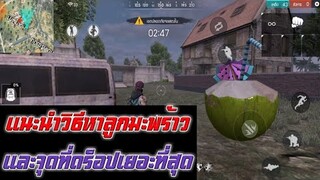 Free Fire แนะนำวิธีหาลูกมะพร้าวจุดดร็อปที่เยอะที่สุด