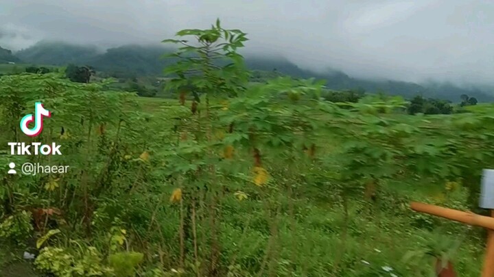 Country road - audio belongs to the rightful owner