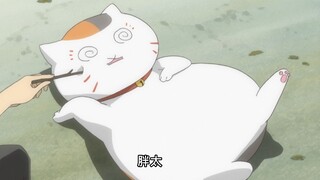 The cat teacher Lao Miao lost his claws