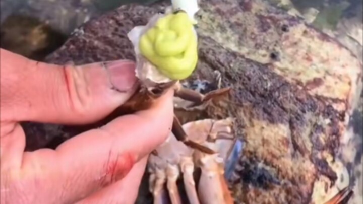 人类放生（放弃）生命行为鉴赏！