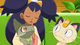 Pokemon Best Wishes tập 45: Nya đàm phán Nyasu! Đột phá khu rừng Tunbear!!